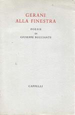 Gerani alla finestra ( poesie di Giuseppe Bucciante )