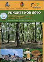 Funghi e non solo specie fungine,floristiche e arboree del bosco 