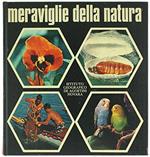 Meraviglie Della Natura