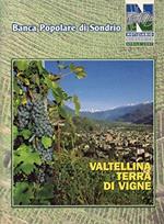 Valtellina terra di vigne notiziario n. 73 - Aprile 1997