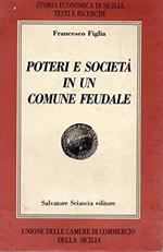 Poteri e società in un comune feudale