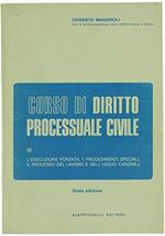 Corso di diritto processuale civile vol iii° l’esecuzione forzata, i procedimenti speciali, il processo del lavoro e dell’ 