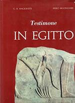 Testimone in Egitto II° edizione