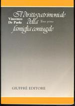 Il diritto patrimoniale della famiglia - Tomo primo