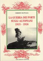 La guerra dei forti sugli altopiani 1915-1916