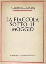 La fiaccola sotto il moggio