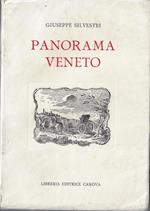 Panorama veneto : tra Brennero e Carnaro