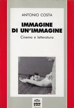 Immagine di un'immagine : cinema e letteratura