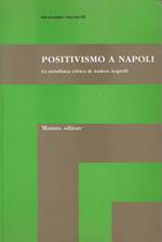 Positivismo a Napoli : la metafisica critica di Andrea Angiulli