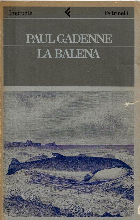 La balena con La coccinella, o Le false tenerezze - Paul Gadenne - copertina