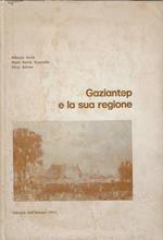 Gaziantep e la sua regione : uno studio storico e topografico degli insediamenti preclassici