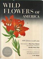 Wild flowers of America