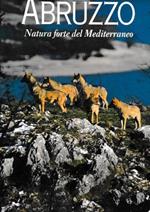 Abruzzo. Natura forte del Mediterraneo. Testo in Inglese e Italiano
