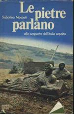 Le pietre parlano. Alla scoperta dell'Italia sepolta