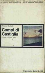 Campi di Castiglia