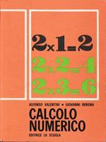 Calcolo numerico