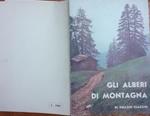 Gli alberi di montagna