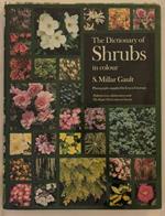 The dictionary of shrubs