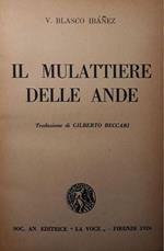 Il mulattiere delle Ande