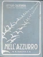 Nell'azzurro : l'aeronautica dalle sue origini leggendarie ai giorni nostri