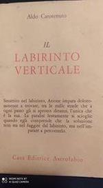 Il labirinto verticale