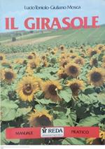 Il Girasole