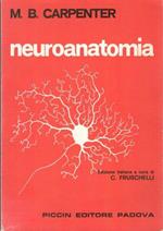 Neuroanatomia