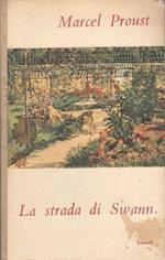 La strada di Swann