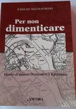 Per non dimenticare : diario di nonno Domenico a Katzenau