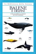 Balene e delfini