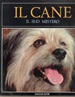 Il  cane, il suo mistero