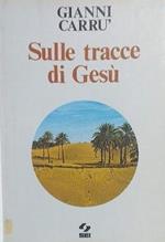 Sulle tracce di Gesù : itinerario spirituale per animatori e catechisti