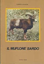 Il muflone sardo