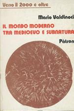 Il mondo moderno tra medioevo e subnatura