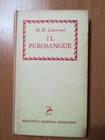 Il purosangue