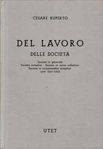 Commentario del Codice Civile (libro 5/2- art. 2247-2324) Del lavoro delle società