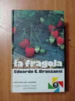 La fragola