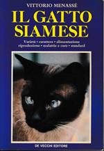 Il Gatto Siamese