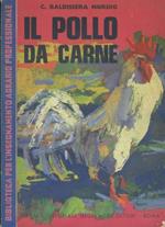 Il pollo da carne