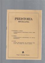 Preistoria miscellanea