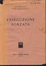 L' esecuzione forzata