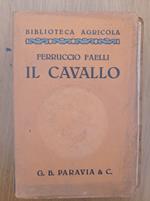 Il cavallo