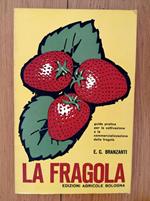 La fragola