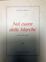 Nel cuore delle Marche