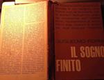 Il sogno finito. Saggio sulla storicita' della fenomenologia