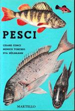 Pesci