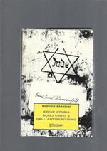 Brave Storia Degli Ebrei E Dell' Antisemitismo