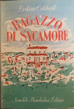 Il ragazzo di Sycamore