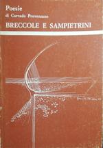 Breccole e sampietrini