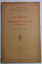 Un Comune del Subappennino Romagnolo (Casalfiumanese)